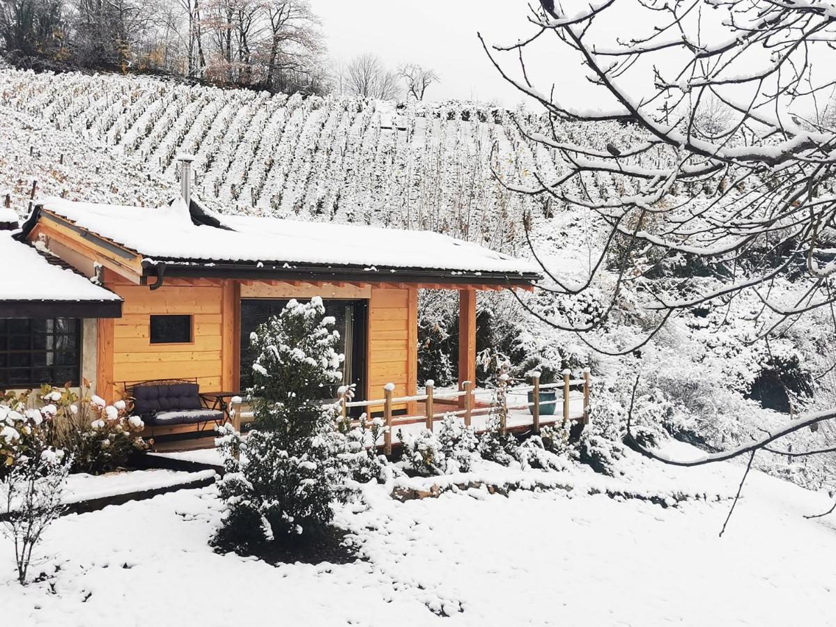 Les Marches L'Etang De La Tourne B&B 외부 사진